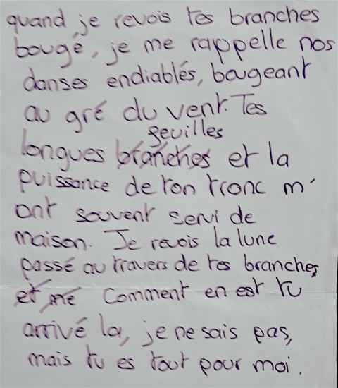 / Comment dire... - Projet de l'Atelier 14-16 ans mené par Élodie Brillon